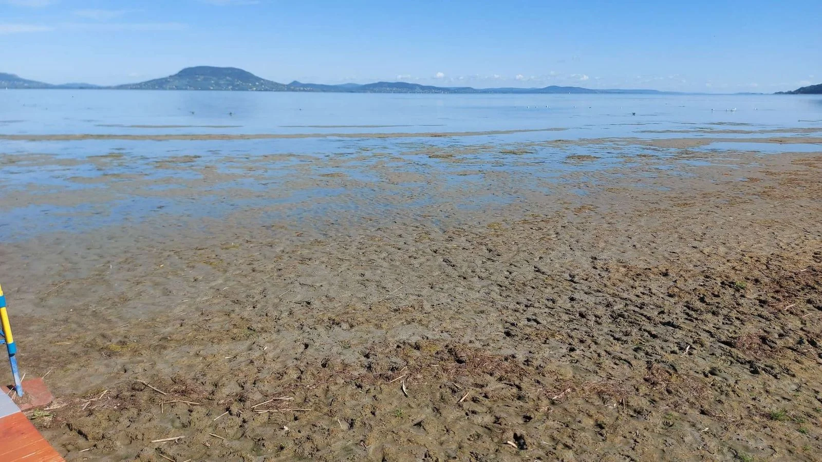 “Pánikra nincsen ok” – de gond azért van a Balatonnál