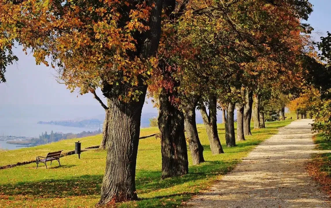 Térköves lesz a Balaton egyik legszebb sétánya