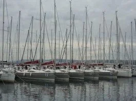 Aranysekli az Adrián