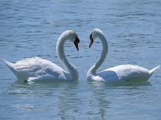 Balaton a béke szigete